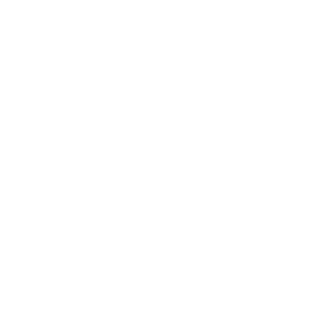 Silver catogery