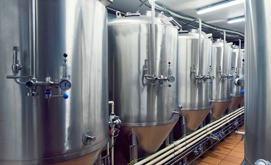 Bapuna Group's Entry into Beer Manufacturing in the 2000s